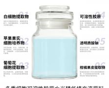 多重細(xì)胞可溶性膠原水光精華填充液原料